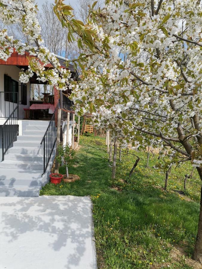 Villa Marijana Varazdinske Toplice Bagian luar foto
