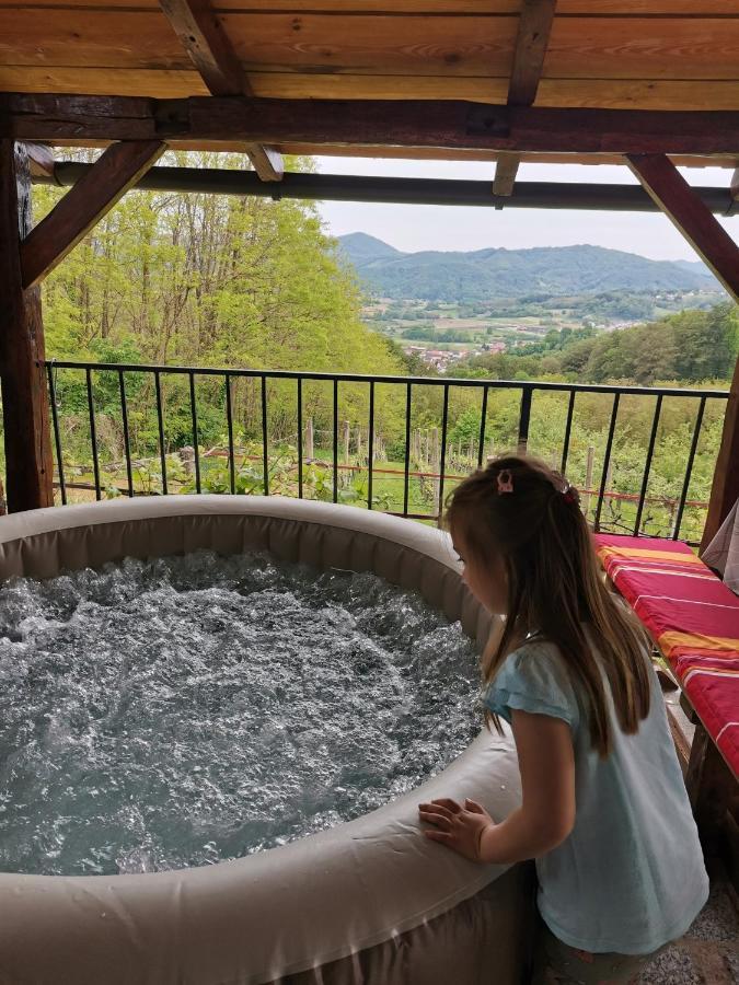 Villa Marijana Varazdinske Toplice Bagian luar foto