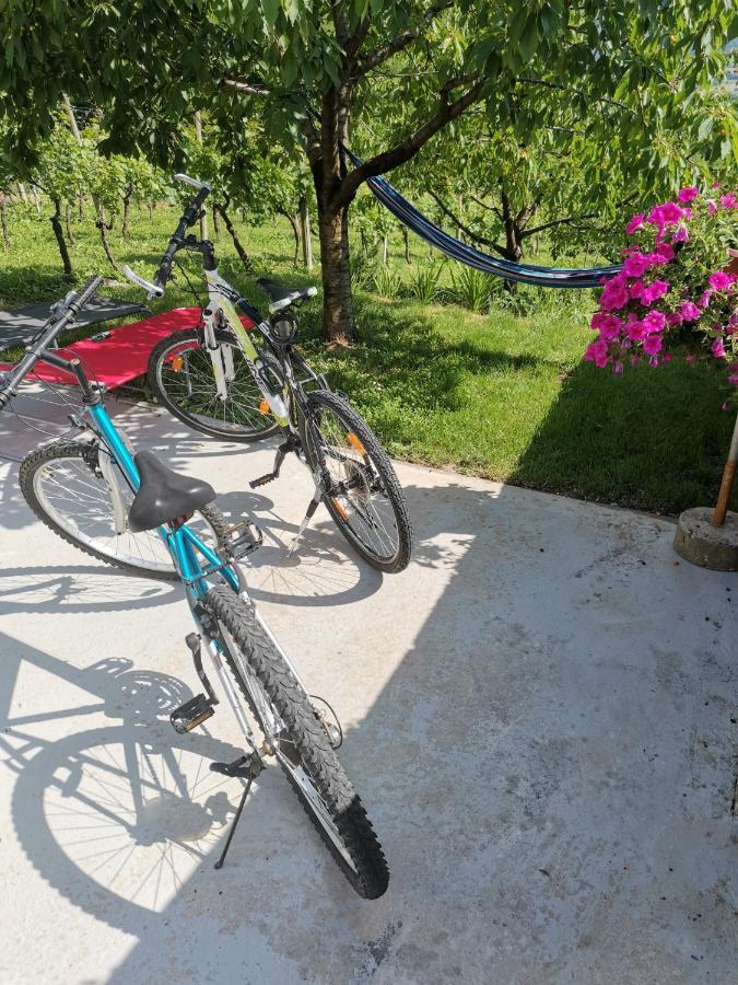 Villa Marijana Varazdinske Toplice Bagian luar foto