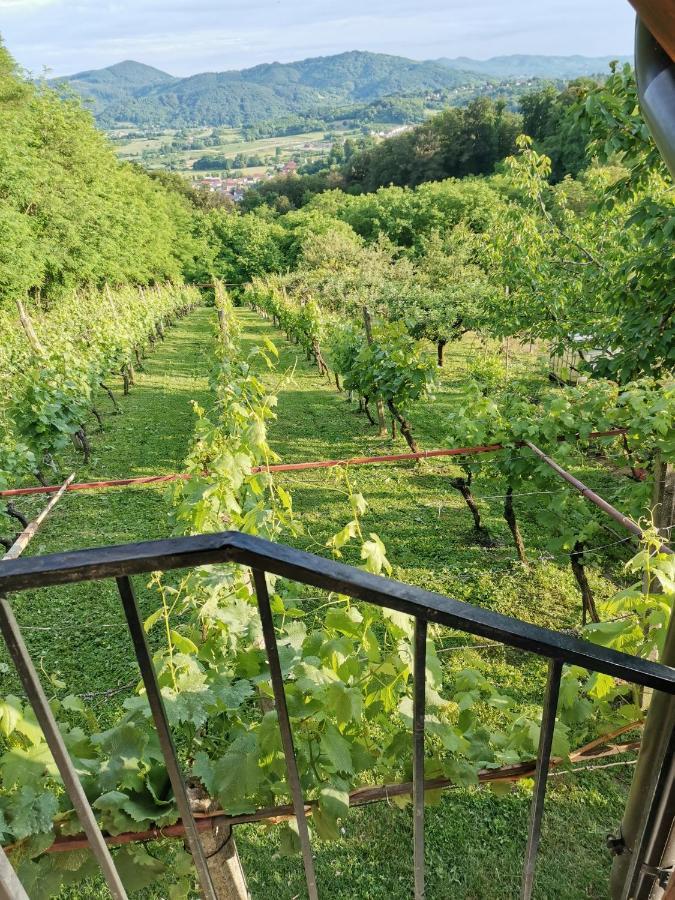 Villa Marijana Varazdinske Toplice Bagian luar foto