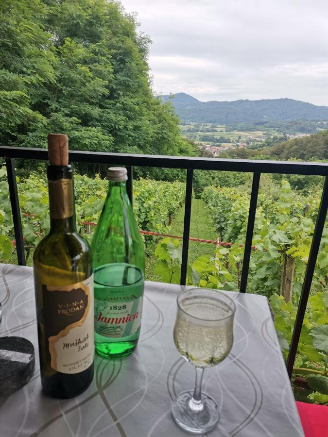 Villa Marijana Varazdinske Toplice Bagian luar foto